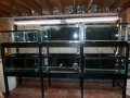 Fish Room Build_0576