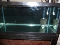 Fish Room Build_0590
