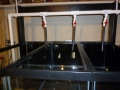 Fish Room Build_0598