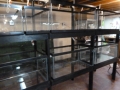 Fish Room Build_0602