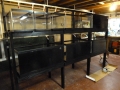 Fish Room Build_0603