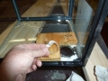 Fish Room Build_0617