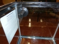 Fish Room Build_0618