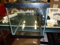 Fish Room Build_0619